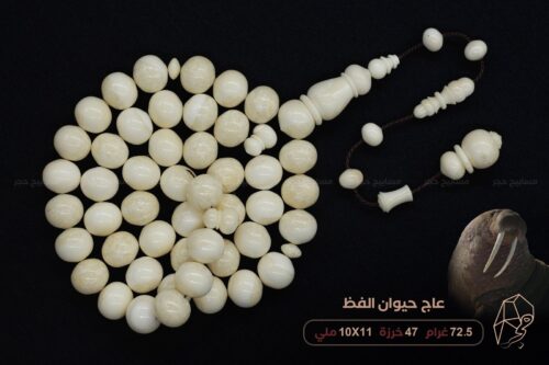 مسباح عاج حيوان الفظ (ببصمة واضحة)