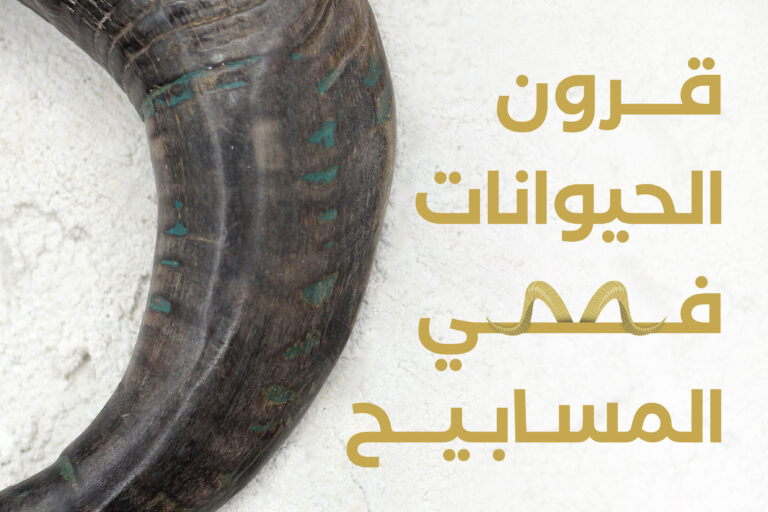 قرن حيوان ، خراطة مسباح ، مسباح قرن