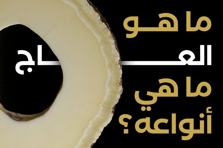 ايش العاج ، العاجيات ، عاج ، عدد العاج