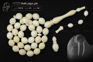 عاج حيوان الفظ (منوصف)