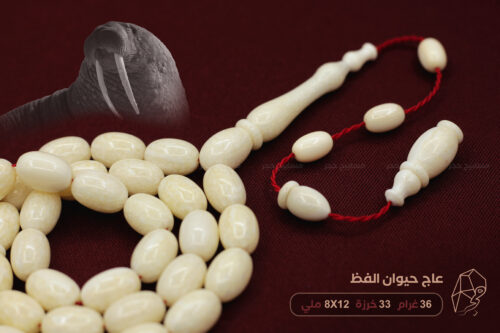 عاج حيوان الفظ (بصمة واضحة)