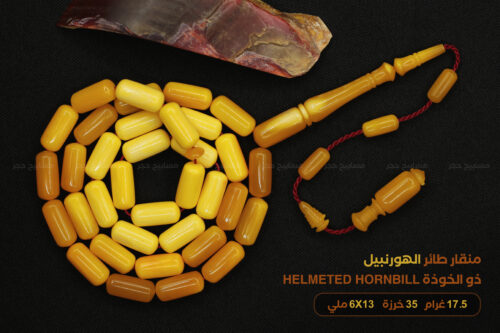 أندر الخامات الطبيعية: منقار طائر الهورنبيل helmeted hornbill