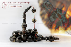 مسباح ترسة ( ظهر سلحفاة بحرية )