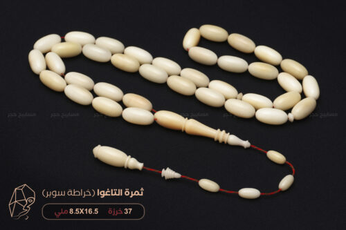 ثمرة التاغوا (بديل العاج النباتي) خراطة سوبر