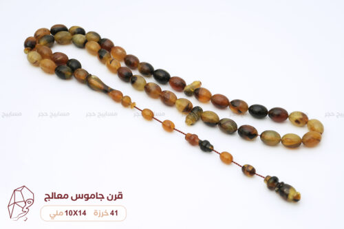 قرن جاموس معالج (شبيه الترسة)