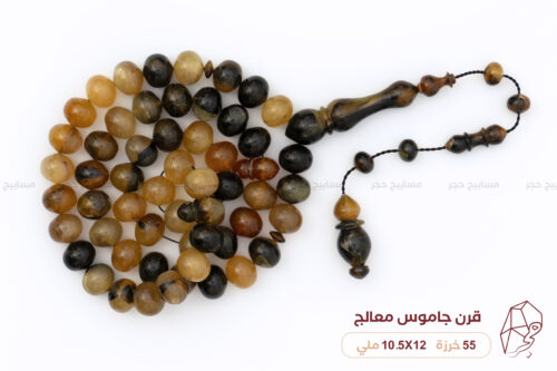 قرن جاموس معالج (شبيه الترسة)