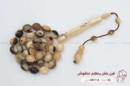 قرن ضأن بطقم منقوش