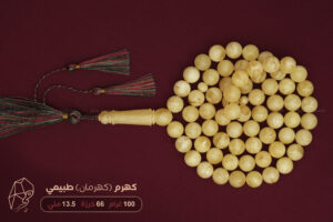 كهرم (كهرمان) طبيعي مع كركوشة (حجم كبير)