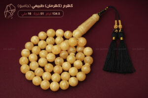 كهرم (كهرمان) طبيعي مع كركوشة (حجم جامبو)