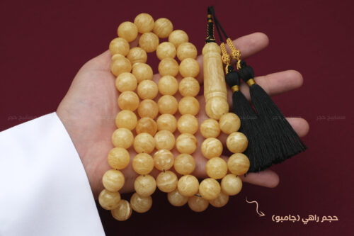 كهرم (كهرمان) طبيعي مع كركوشة (حجم جامبو)
