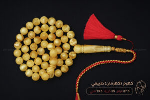 كهرم (كهرمان) طبيعي مع كركوشة (حجم راهي)