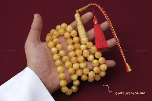 كهرم (كهرمان) طبيعي مع كركوشة (حجم راهي)