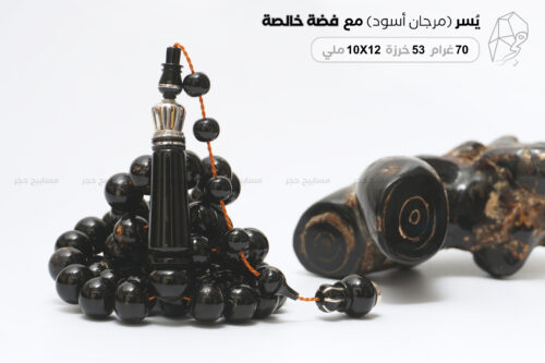اليسر البحري الطبيعي مع فضة طبيعية