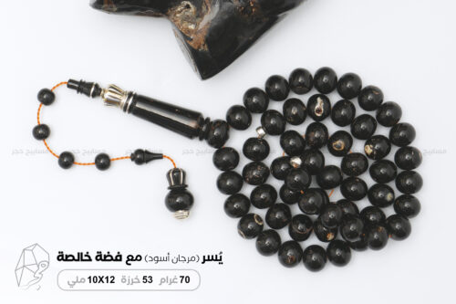 اليسر البحري الطبيعي مع فضة طبيعية