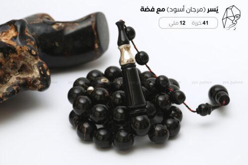اليسر البحري الطبيعي مع فضة