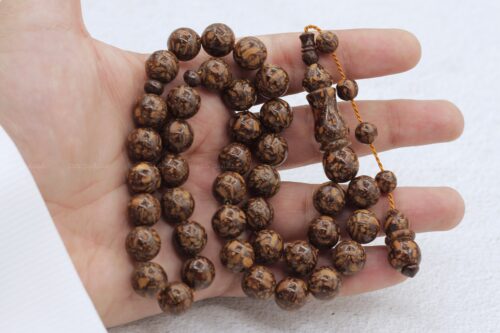 مسباح دارسين فواح مملك