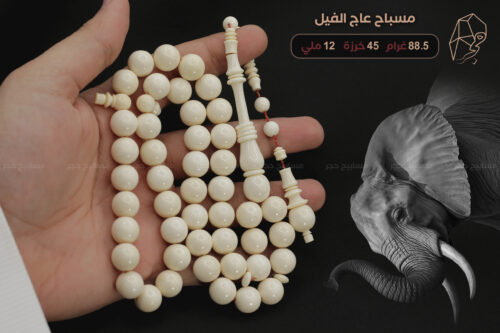 مسباح عاج الفيل