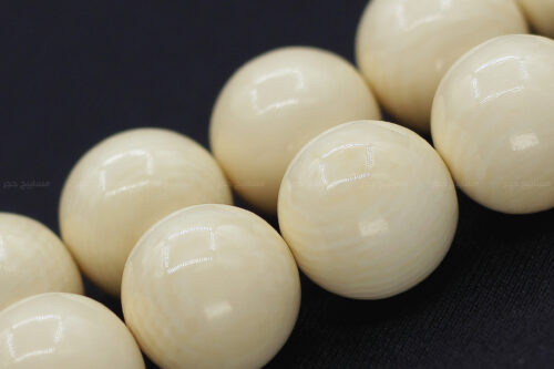 مسباح عاج الفيل