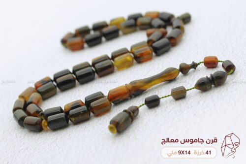 قرن جاموس معالج (شبيه الترسة)