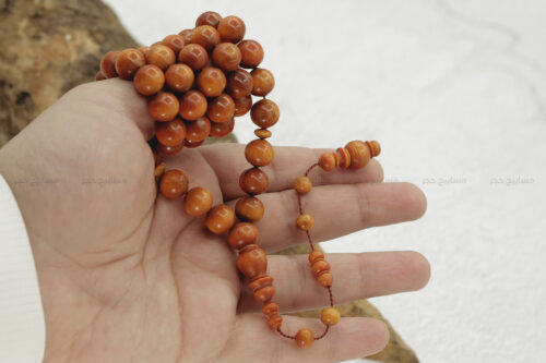 من أثمن الأخشاب: خشب وحيد القرن