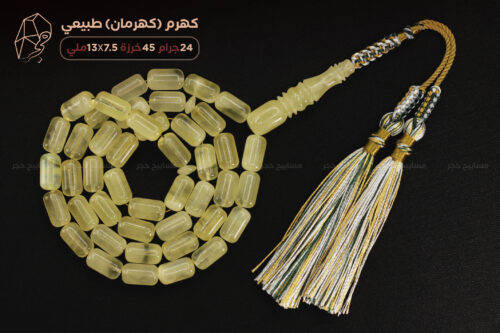 كهرم ( كهرمان ) طبيعي مع كركوشة