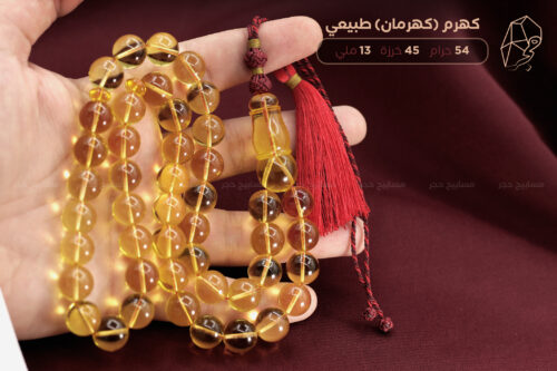 كهرم ( كهرمان ) طبيعي مع كركوشة