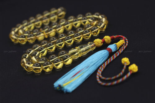 كهرم ( كهرمان ) طبيعي مع كركوشة