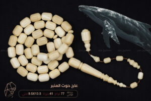 من أندر الخامات وأثمنها: عاج حوت العنبر