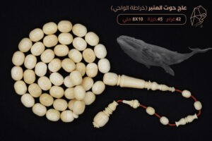 من أندر الخامات وأثمنها: عاج حوت العنبر