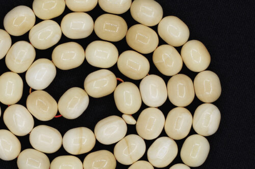 من أندر الخامات وأثمنها: عاج حوت العنبر