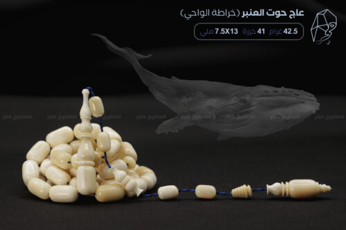 من أندر الخامات وأثمنها: عاج حوت العنبر (منوصف)