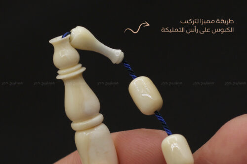 عاج حوت العنبر برميلي وسط 42.5 غرام ب 4 من أندر الخامات وأثمنها: عاج حوت العنبر (منوصف)