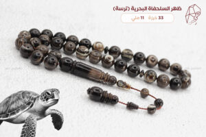 ظهر السلحفاة البحرية (ترسة)