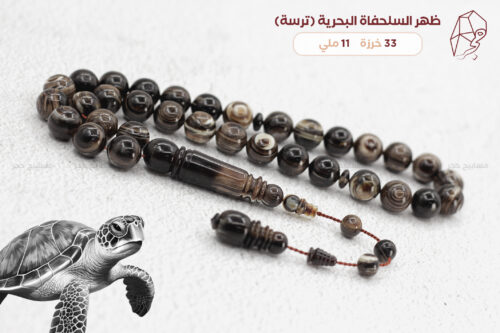 ظهر السلحفاة البحرية (ترسة)