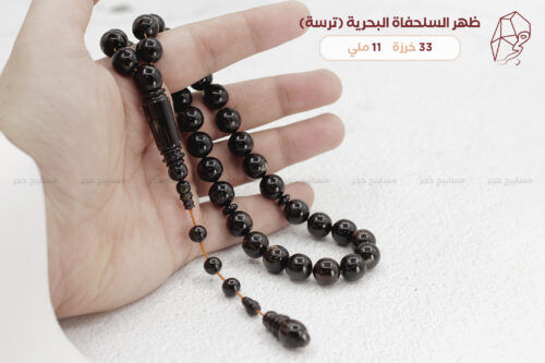 ظهر السلحفاة البحرية (ترسة)