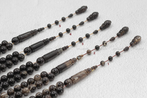 ظهر السلحفاة البحرية (ترسة)