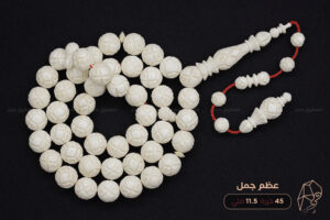 عظم جمل منقوش بالكامل