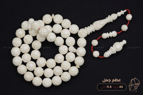 عظم جمل منقوش بالكامل