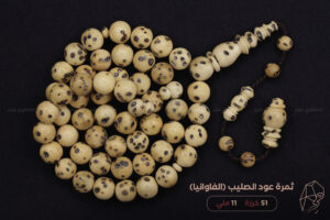 ثمرة عود الصليب (الفاوانيا)