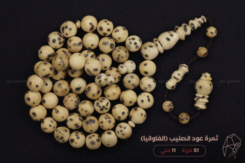 ثمرة عود الصليب (الفاوانيا)