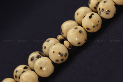 ثمرة عود الصليب (الفاوانيا)