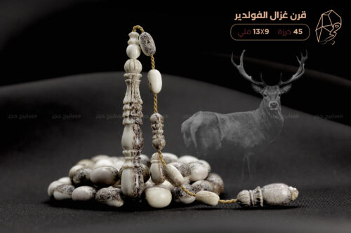 قرن غزال الفولدير (الأيل الأوروبي)