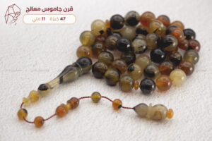 قرن جاموس معالج (شبيه الترسة)