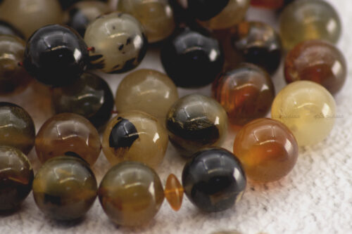 قرن جاموس معالج (شبيه الترسة)