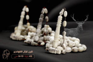 قرن غزال الفولدير (الأيل الأوروبي)