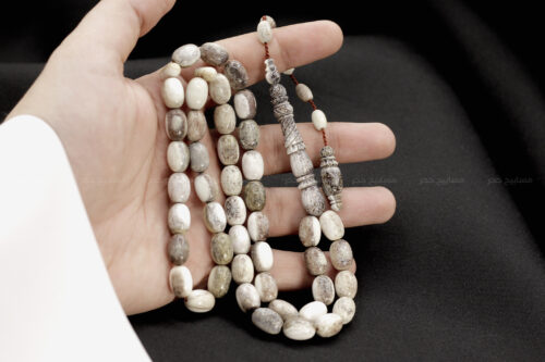 قرن غزال الفولدير (الأيل الأوروبي)