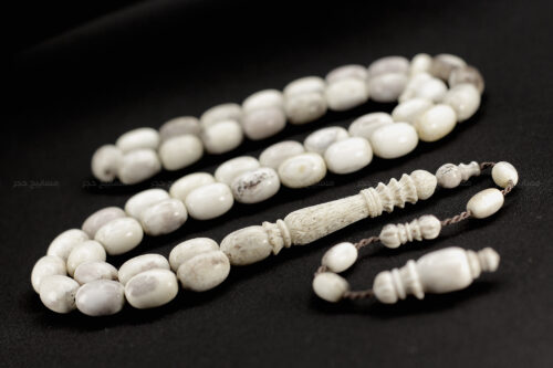 قرن غزال الفولدير (الأيل الأوروبي)