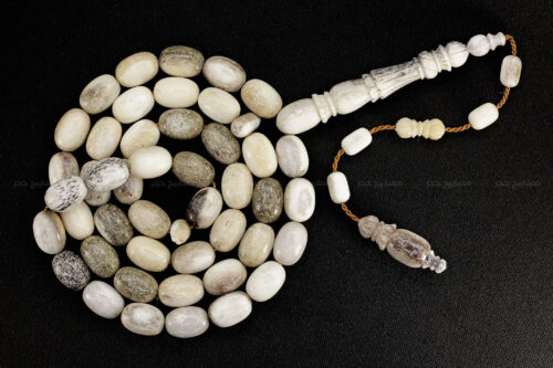 قرن غزال الفولدير (الأيل الأوروبي)