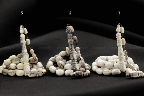 قرن غزال الفولدير (الأيل الأوروبي)