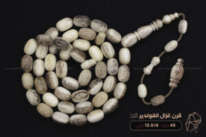 قرن غزال الفولدير (الأيل الأوروبي)